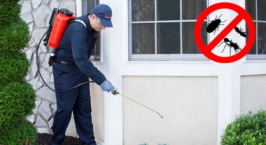 Tavşanlı Böcek ve Haşere İlaçlama böcek ilaçlama ve haşere kontrolü — ilaclama-tr.com